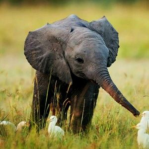 Meet your Posher, Fabiola